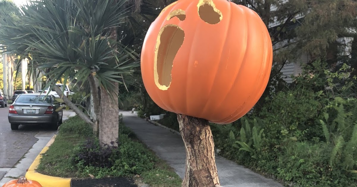 Punta Gorda Florida Daily Photo Scream it’s Halloween.