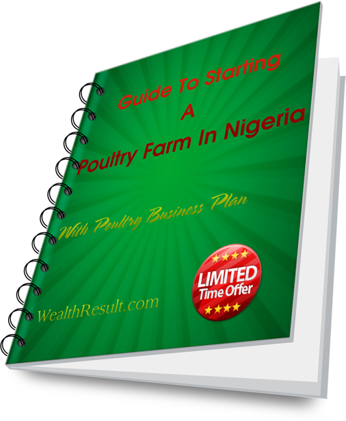 Poultry Farming Business Plan & Feasibility Study in Nigeria