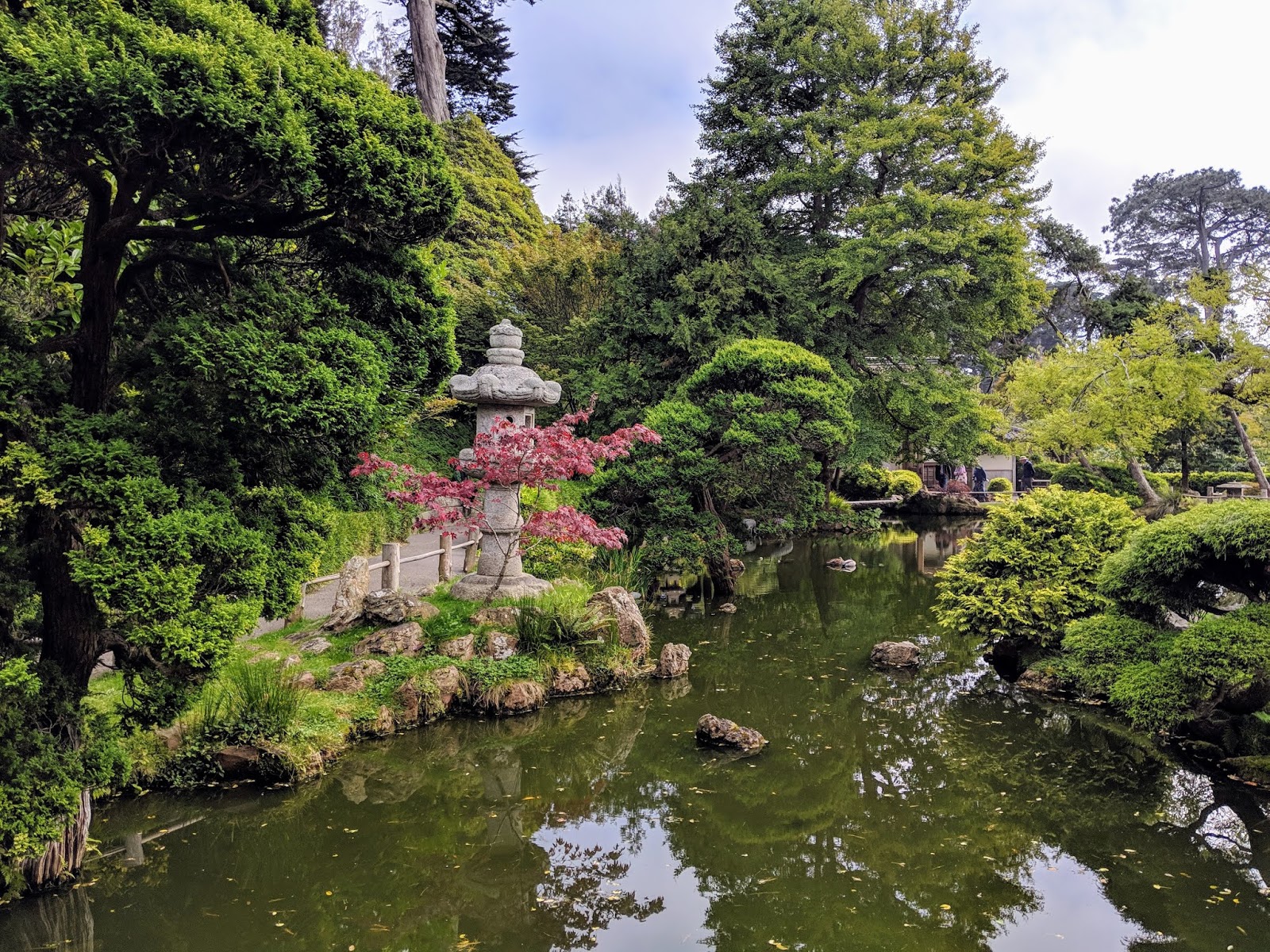 Enjoy Afternoon Tea at the Japanese Tea Garden in San Francisco