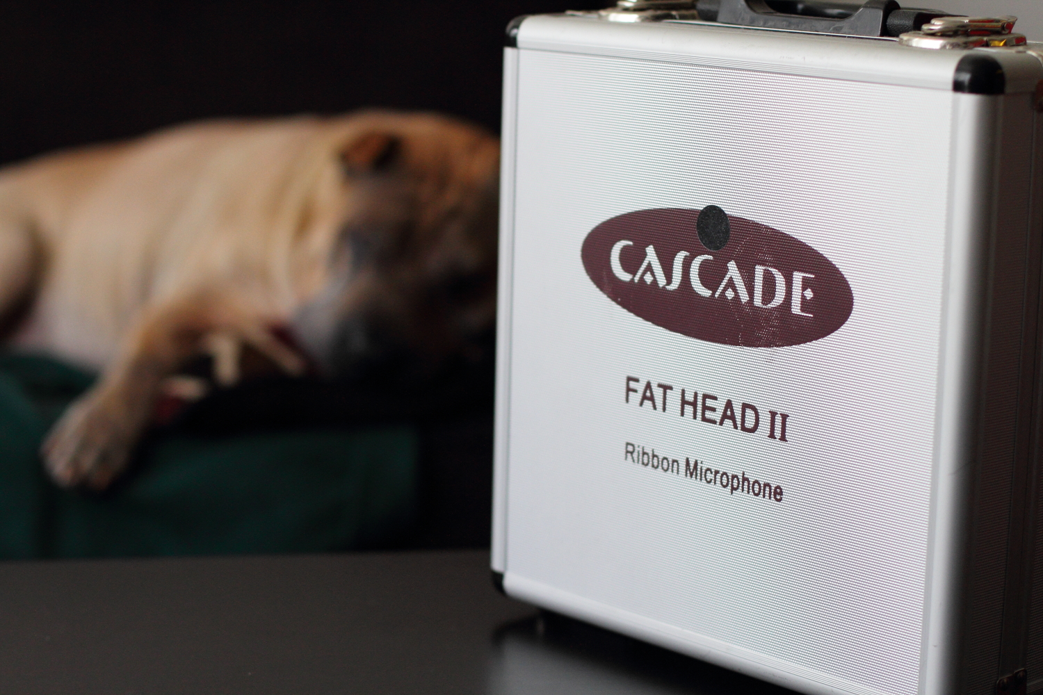 The Ramblings of Some Audio Guy Cascade Microphones Fat Head II Ribbon