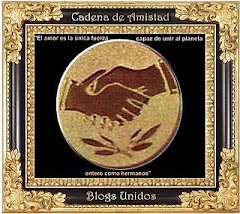 REGALO "CADENA DE AMISTAD Y RESPETO BLOGUERO"