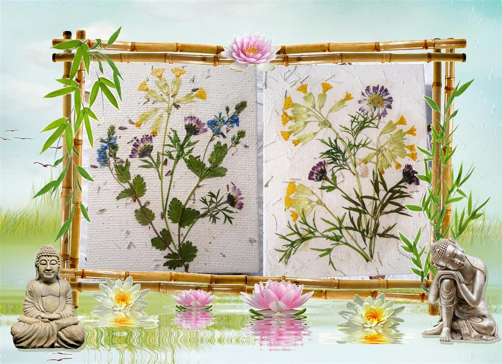 Les mains dans la tête papier recyclé et albums photo