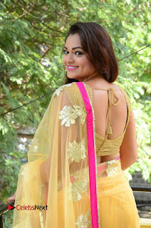 Telugu Actress Ashwini Latest Pictures in Silver Golden Embroidery Saree  0008