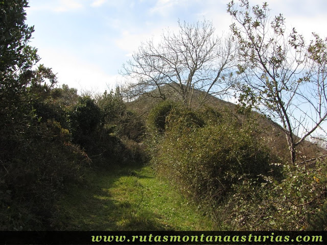 Camino a Peña Llana