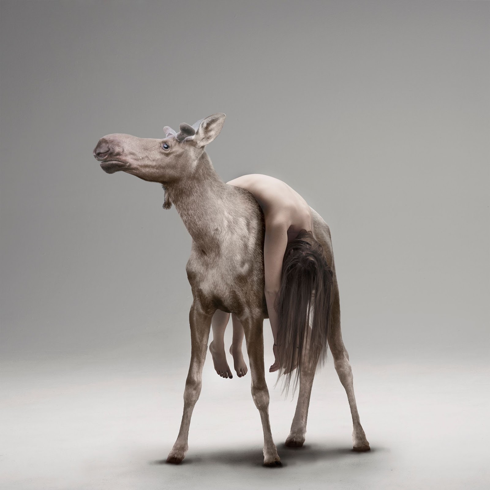 Совсем необычный. Необычные фотосессии девушек. Креативная девушка. Haroshis skateboard sculptures. Картинки необычные загадочные красивые.