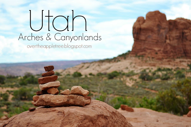 Utah: Arches & Canyonlands National Parks >> Over The Apple Tree