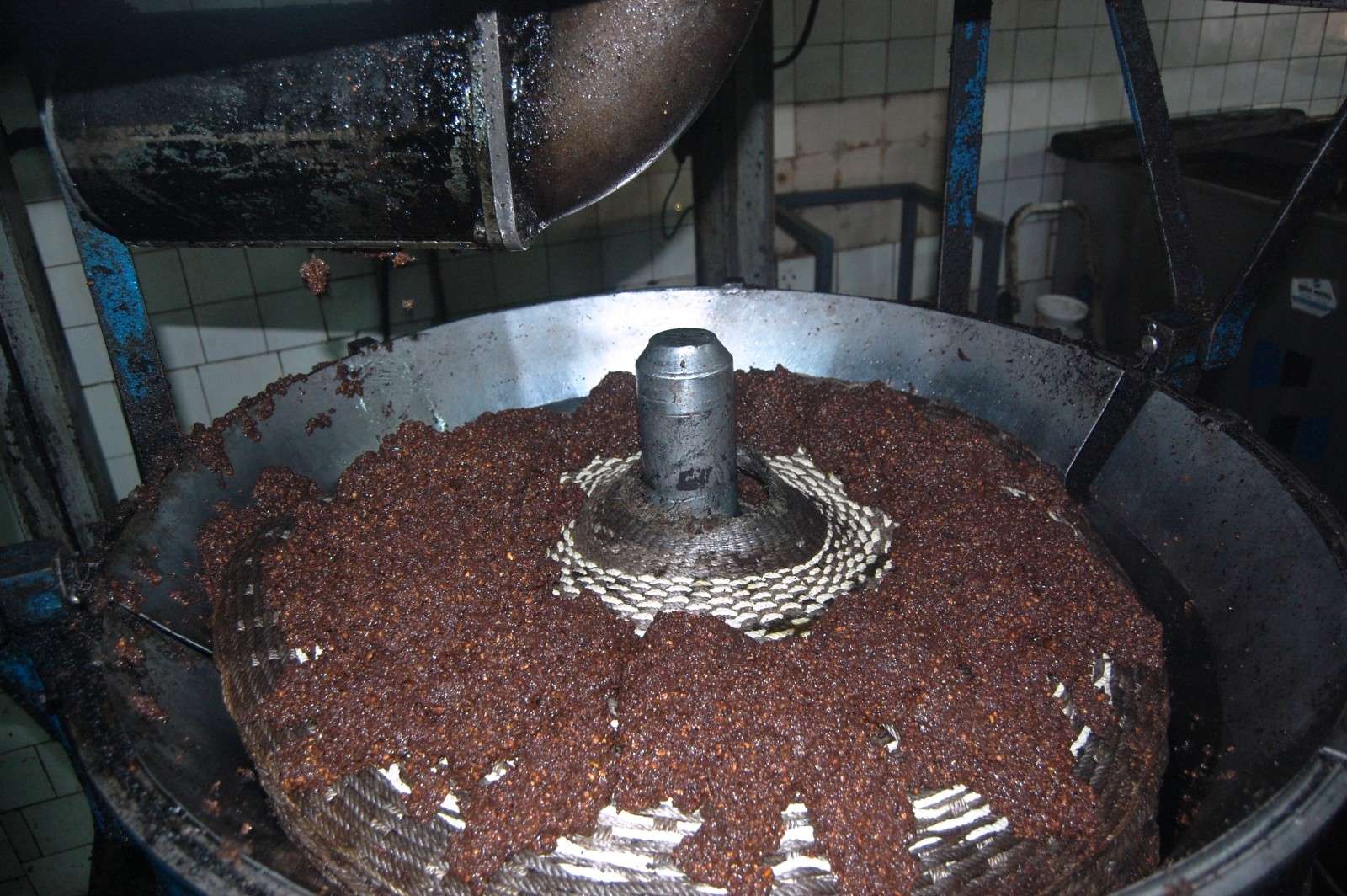 Putting crushed mass on the “capachos”.