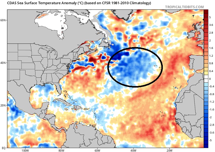 Autumn Day Rilke S Revelatory Rhythm In Herbsttag English