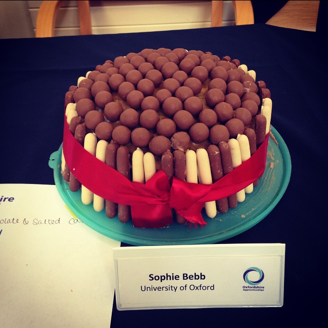 National Apprenticeship Week 2016 Round Up University Of Oxford