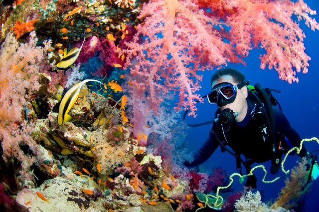 Take Part in Scuba Diving at Andaman