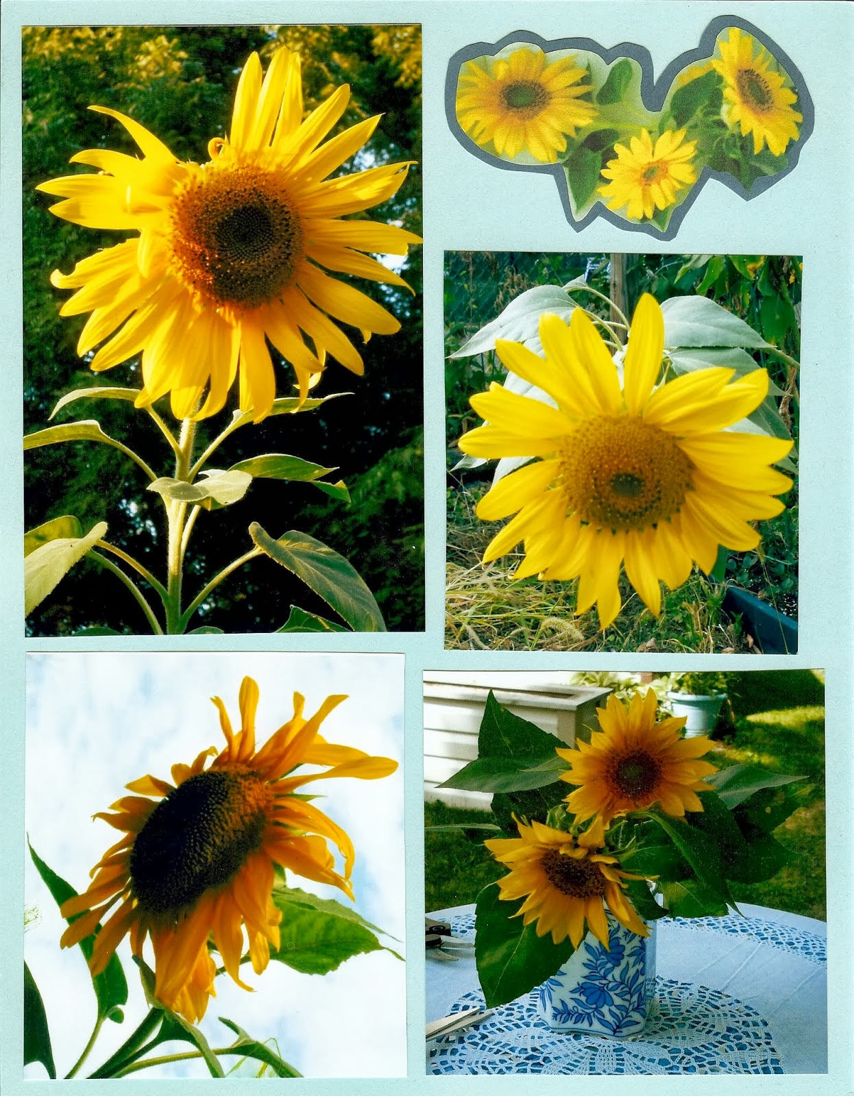 Paintersgarden Sunflower Scrapbook Pages