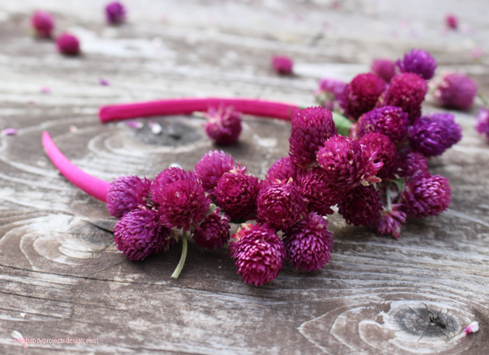 Diadema flores secas DIY