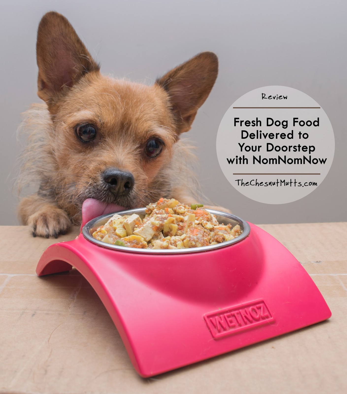 Review Fresh Dog Food Delivered to Your Doorstep with NomNomNow The