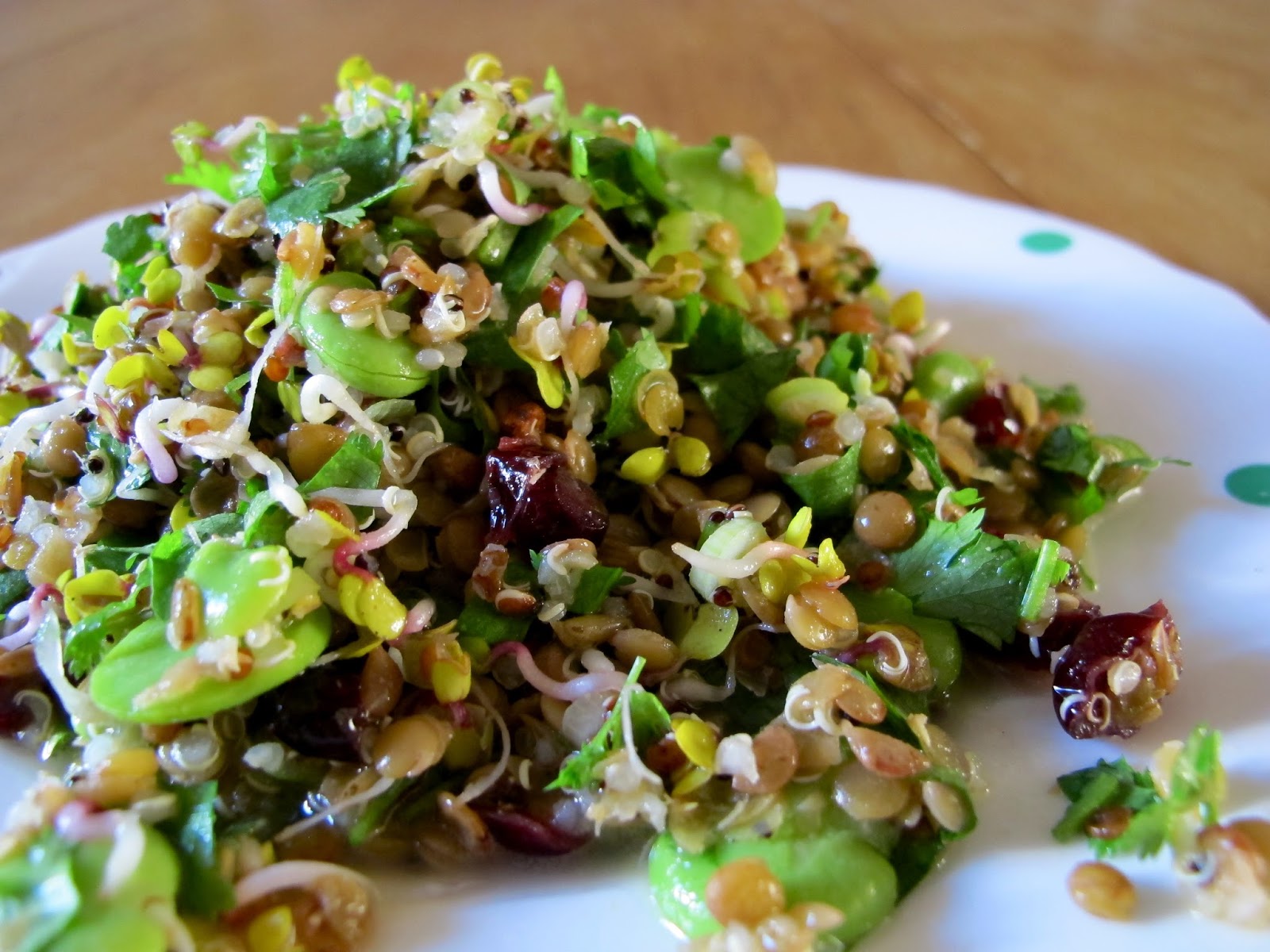 oh so buttery Broad Bean and Lentil Salad