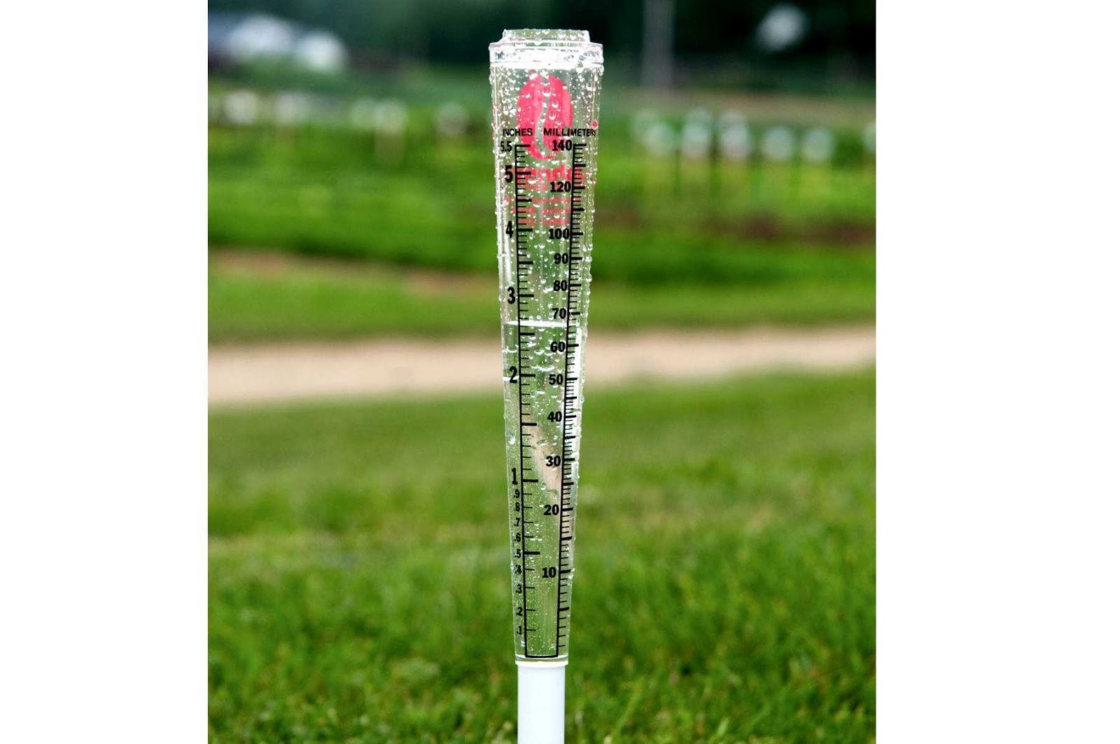 Rain gauge