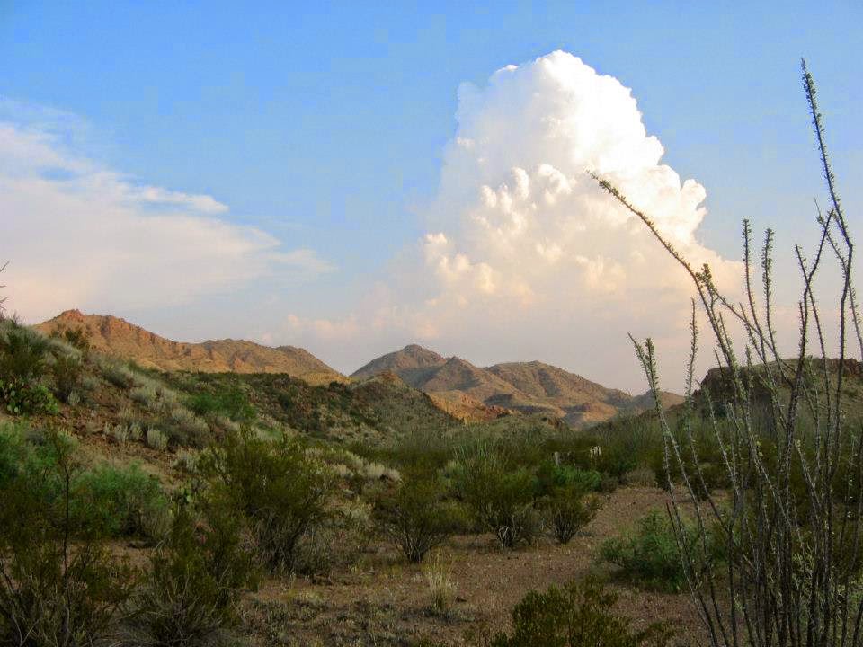 Cheap Land For Sale CHEAP LAND FOR SALE Texas Land 10, 20 or 30 Acres CASH SALE TX, Farm