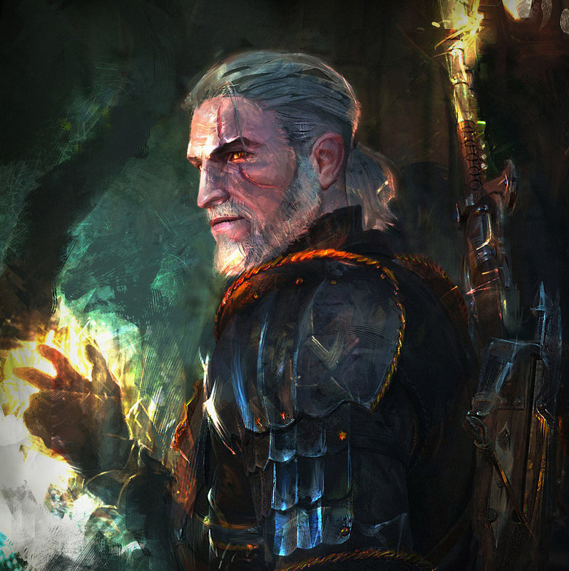 The Witcher Le Sang Des Elfes Le journal de Feanor: SORCELEUR – LE SANG DES ELFES