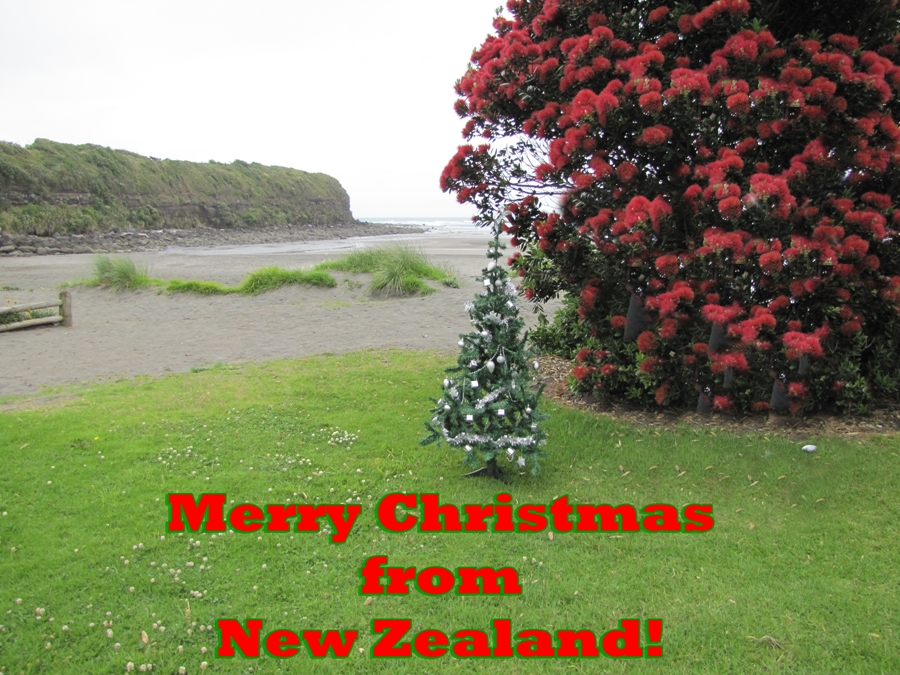 My Views Of New Zealand Merry Christmas