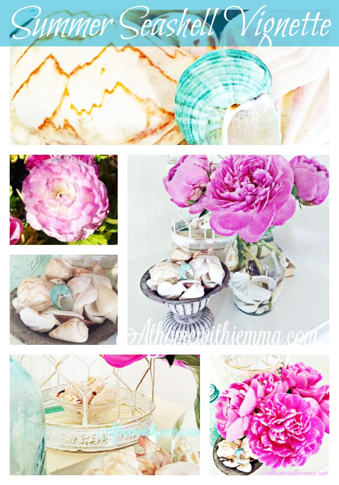 decorating your home by using a vase with seashells, flowers and seashells, peonies and seashells