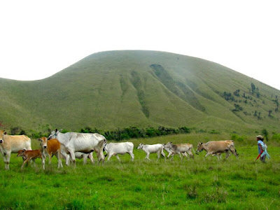 Kawah Wurung Kawah Wurung