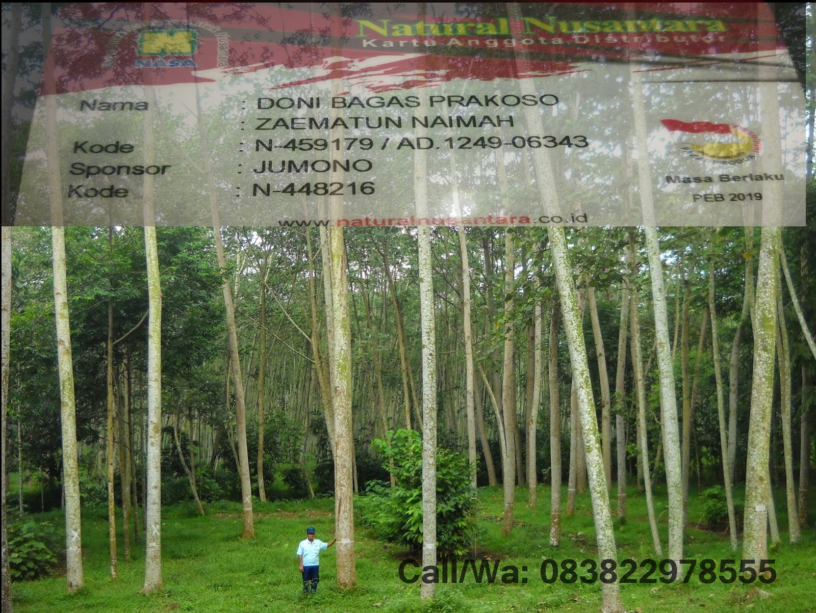 Budidaya Tanaman Sengon Pdf