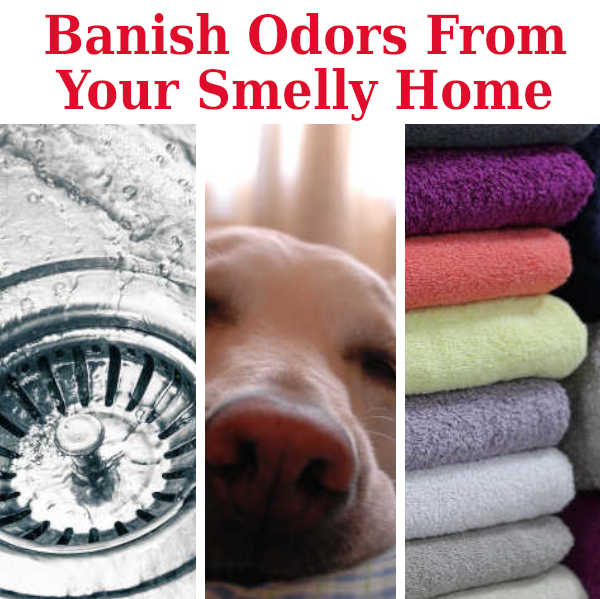 Banish Odors From Your Smelly Home. DIY Home Sweet Home