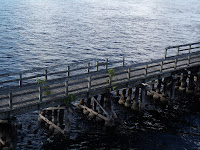Antiguo puente sobre el Myakka River Antiguo puente sobre el Myakka River