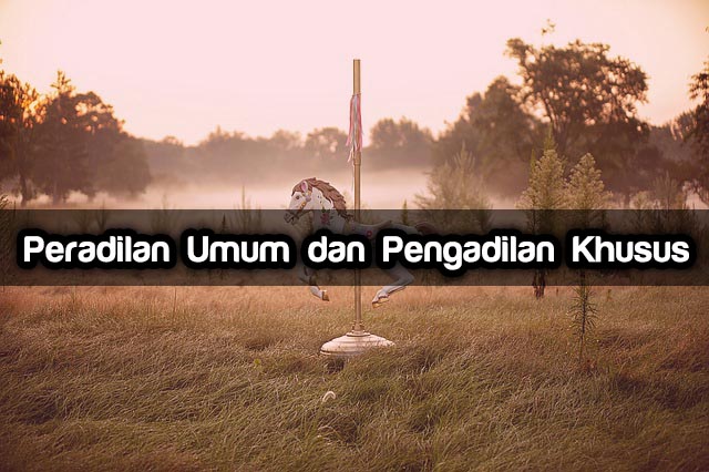 Peradilan Umum dan Pengadilan Khusus Peradilan Umum dan Pengadilan Khusus