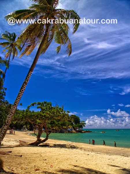 objek wisata Pantai Teluk Uber Bangka tour objek wisata Pantai Teluk Uber Bangka tour