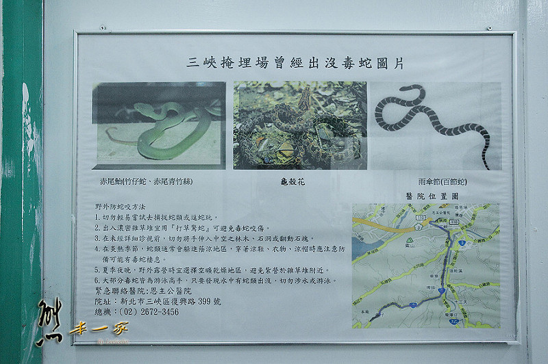 三峽私房景點櫻花林 樹木銀行|三峽碳中和樂園
