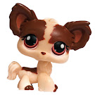 Littlest Pet Shop Multi Packs Chihuahua (#385) Pet