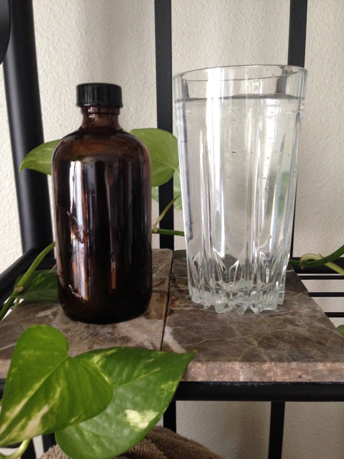 somewhere in the mountains The Benefits of Drinking water