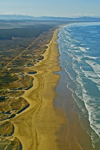 Ninety Mile Beach, Kaitaia-10 Beautiful Beaches in New Zealand