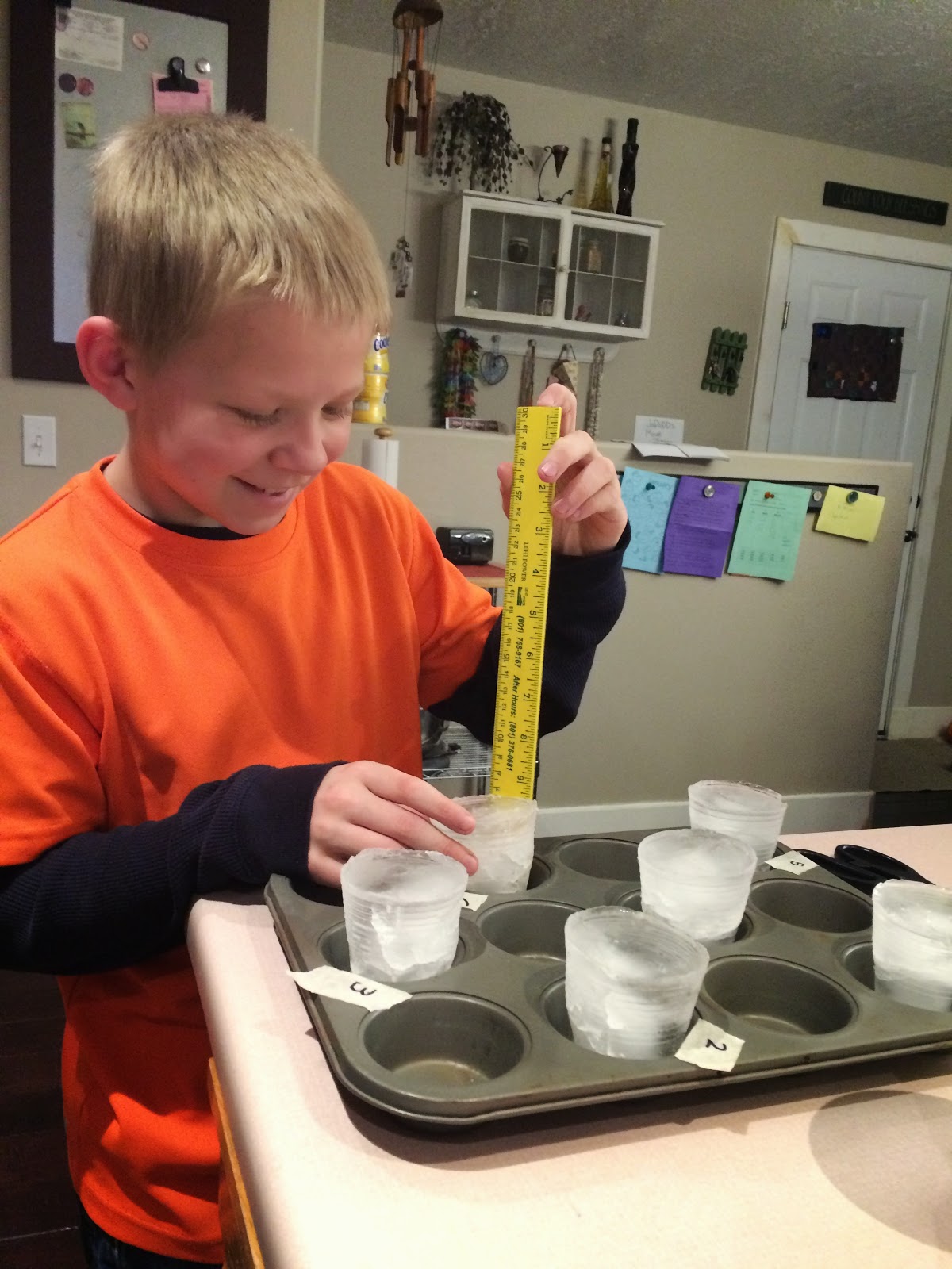 wendy will ramble... Isaac's Science Experiment Melting Ice Race