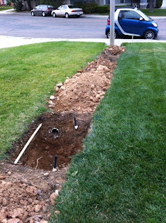 random ramblings: The New Front Yard-Part 1