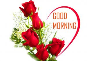 good morning good morning