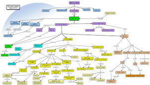 Mapa conceptual biologia 7 año