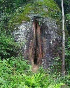 At First, You Will Think That These Nature Photos Are Normal But You Will Not Believe When You Look Closely! At First, You Will Think That These Nature Photos Are Normal But You Will Not Believe When You Look Closely!