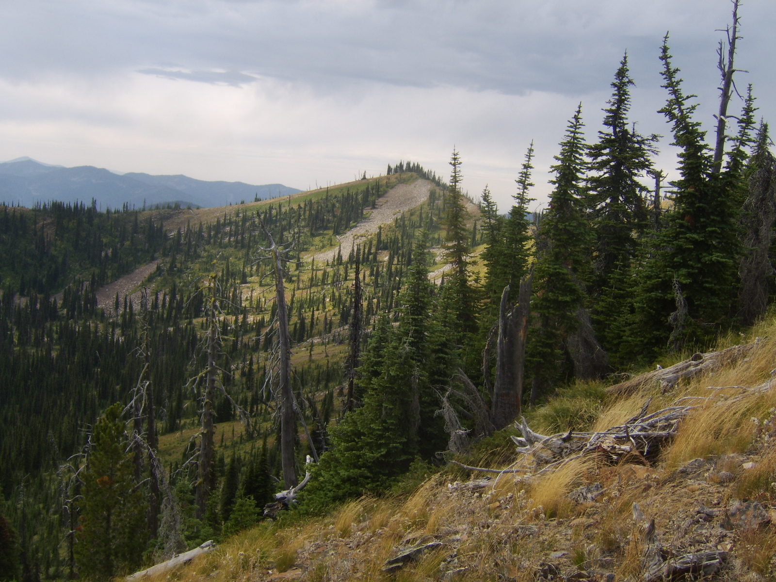 Adventuring On Moose Lake, Moose Mountain & Blacktail Lake in Idaho
