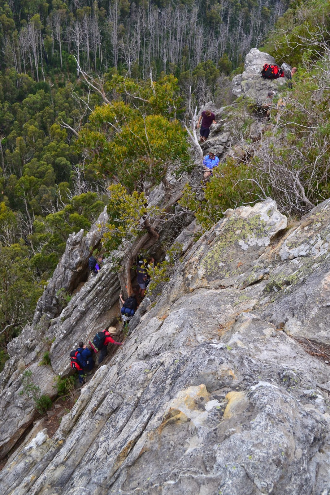 Goin' Feral One Day At A Time: Cathedral Range - Southern Circuit ...
