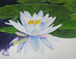 water lilies painting lily watercolor paintings flower artist watercolors waterlilies ramblings rosenzweig gardening barbara flowers stages creation few below lotus