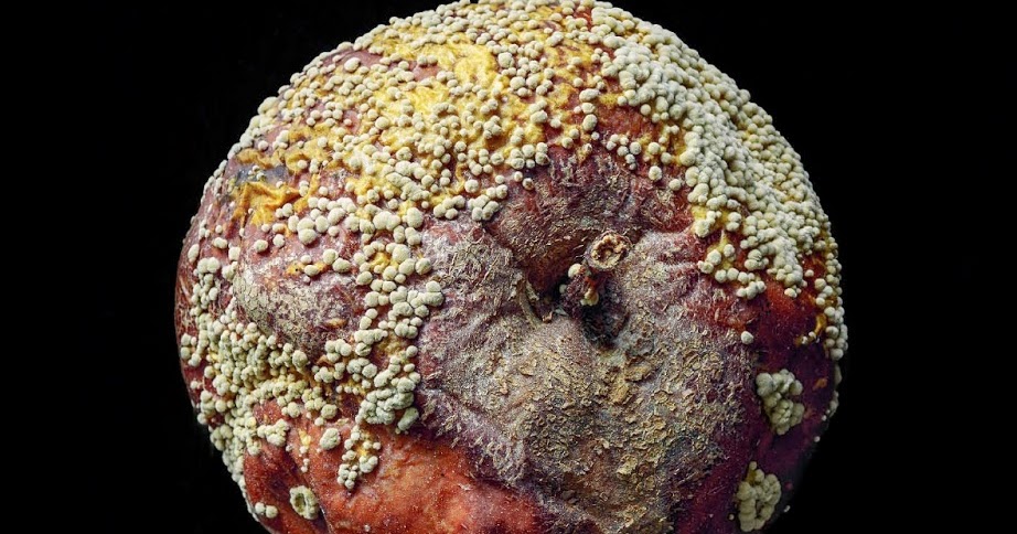 Blog de Álvaro Valverde: Cosas redondas