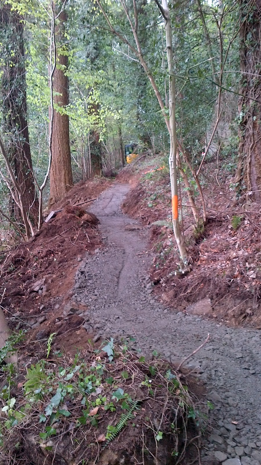 Trails by Dafydd Davis Rostrevor Mountain Bike Trail Construction, Northern Ireland