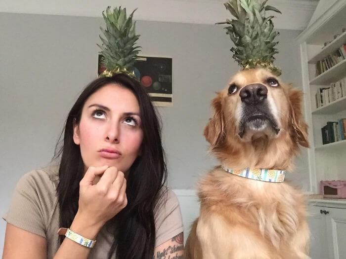 22 Hilariously Adorable Pictures Of A Dog And His Owner Dressed In Funny Costumes 22 Hilariously Adorable Pictures Of A Dog And His Owner Dressed In Funny Costumes