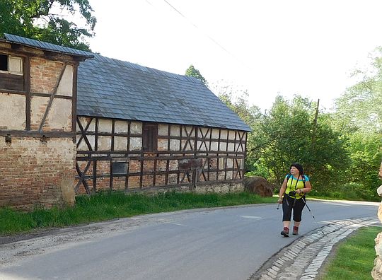 Wieś Komarno (niem. Kammerswaldau). Wieś Komarno (niem. Kammerswaldau).