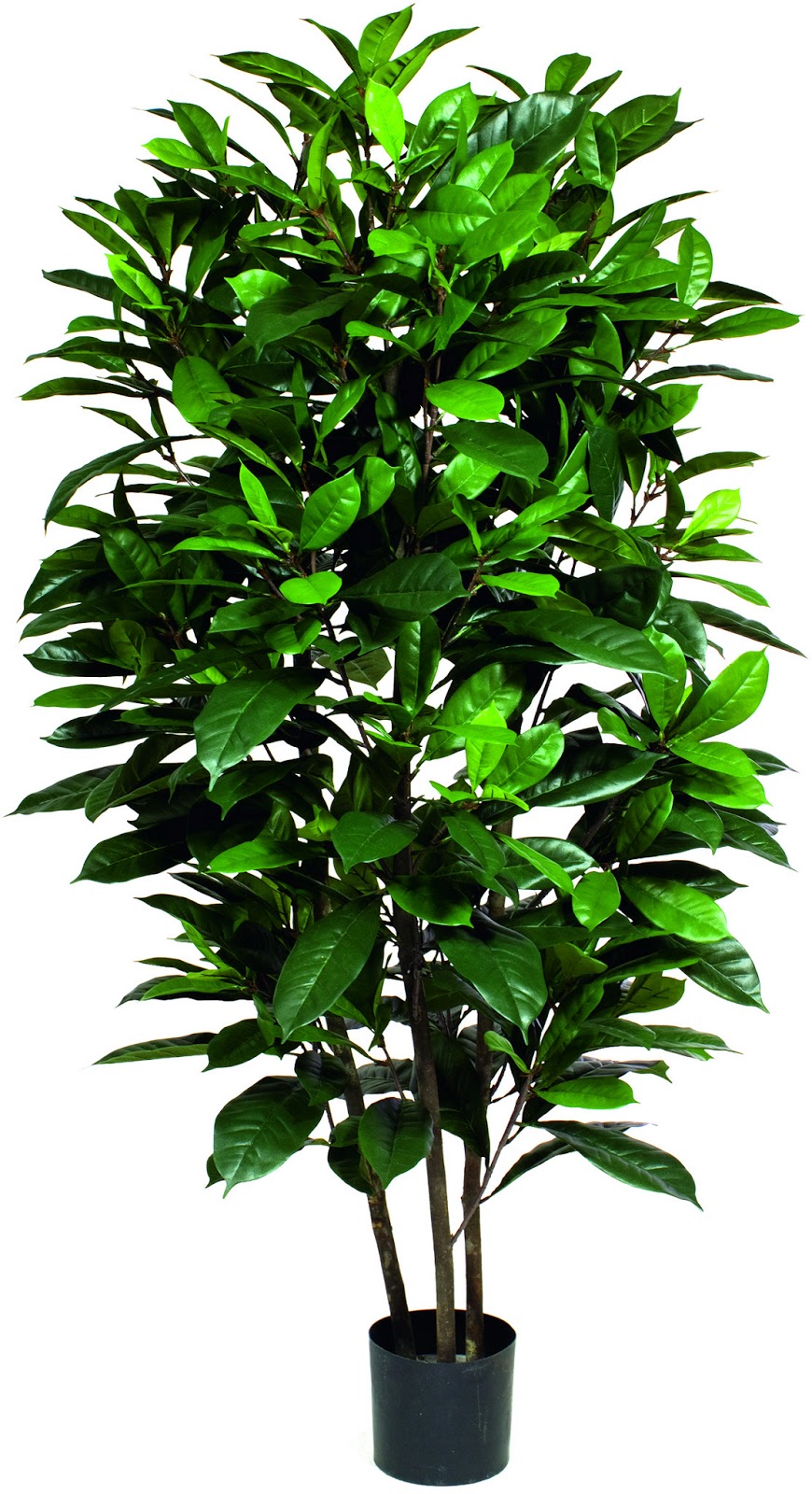 Finest quality artificial plants that look so realistic and natural