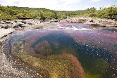 color water crystal river 37 Sungai Kristal   Sungai tercantik di Dunia (16 Gambar)