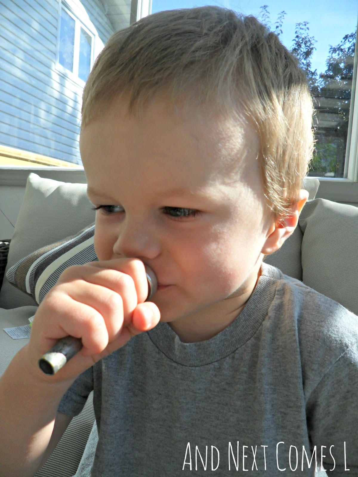 Exploring Sounds with a Buzz Basket And Next Comes L Hyperlexia