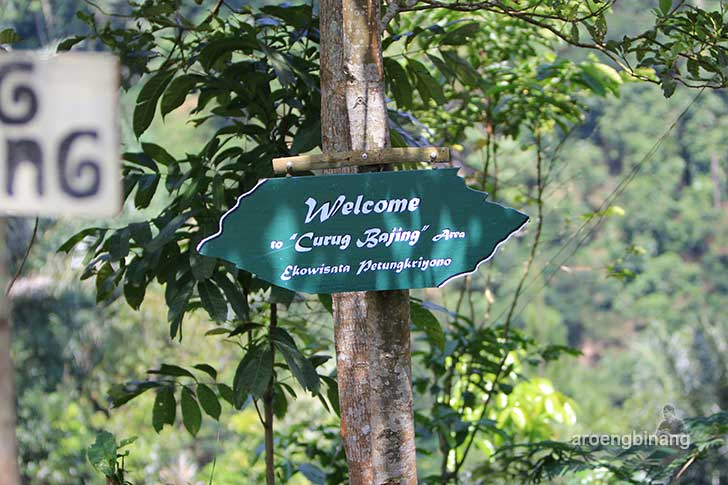 curug bajing petungkriyono pekalongan