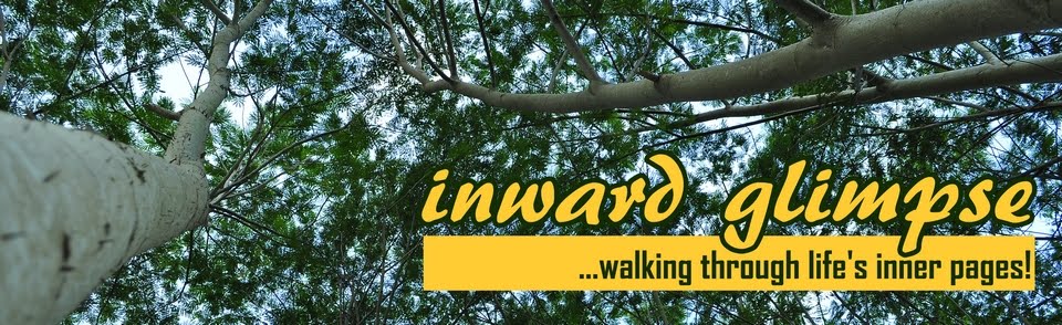 Inward Glimpse: Walking Through Life's Inner Pages
